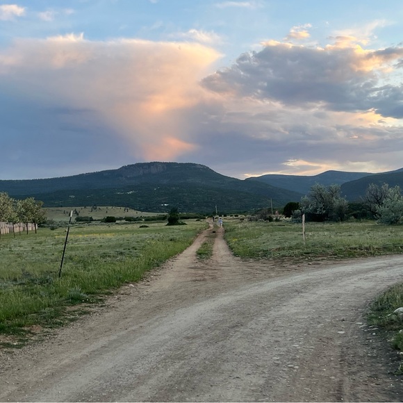 Meet your Posher, Adrian - Picture 3 of 5